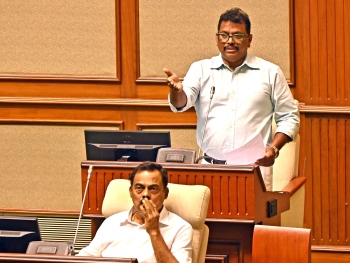Calangute MLA calls for urgent action on dangerous trees