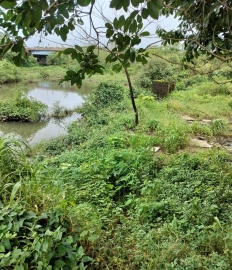 Questions remain over restoration of khazan fields after new Borim bridge is complete