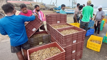 Traditional fishermen along Salcete coast begin season on subdued note