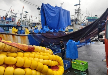 Fishermen hope weather permits them to venture out to sea today