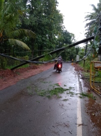 Pole collapse in Nirankal disrupts traffic