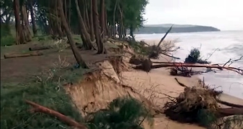 Heavy sand erosion causes havoc along Galgibaga coast