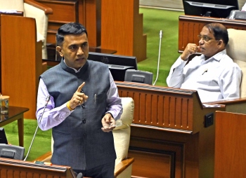 Govt to bring new law holding cattle owners accountable for road mishaps