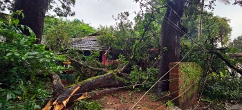 Tree fall damages house at Marcaim