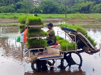 Chicalim youth farmers begin paddy plantation on Independence Day