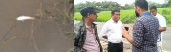 Uproar in Sao Jose de Areal after fish found dead in water body