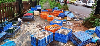 All eyes on Environment minister for turnaround at SGPDA retail market