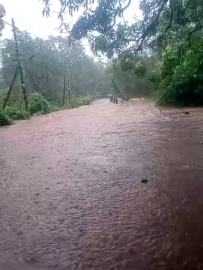 3 women rescued as bridge gets flooded at Sancorda