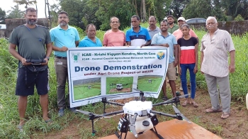 Drone tech offers new hope in reviving damaged crop