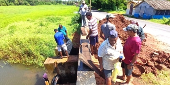 Benaulim farmers mark annual sluice gate closure
