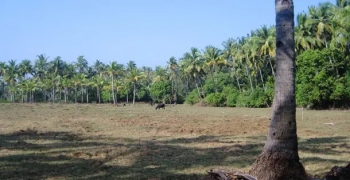 Sustainable urbanisation: Imminent necessity