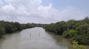 Woman jumps into river, body found