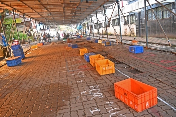 Makeshift shed to house Panaji fish vendors