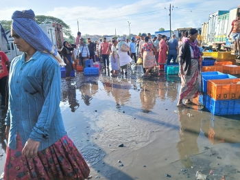 When will the stink finally disappear from Goa’s lone wholesale fish market?