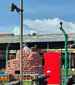 Rising crime sparks calls for upgrade of CCTVs in Mapusa