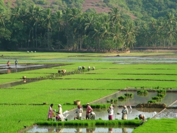 Goa, land, the State and its people