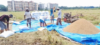 Harvest to heartburn: Margao farmers battle for agricultural land rezoned for commercial use