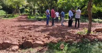 Ex-cricketer ordered to restore land dug up for road in NDZ