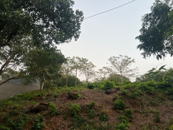 Dona Paula residents protest tree cutting near Raj Bhavan