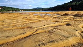 Nature-based remedies proposed for protection of Mobor Beach