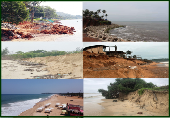 Sand nourishment, dune vegetation, and mangrove restoration recommended for beach restoration
