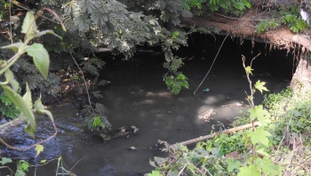HC directs authorities to take action in Salpem lake sewage contamination PIL