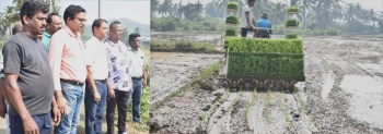 Nuvem farmers revive another 30,000 sqm of fallow fields