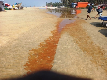 GSPCB team takes Colva beach sediment sample for analysis
