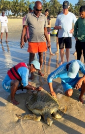 Sea turtle rescued by fishermen at Mobor