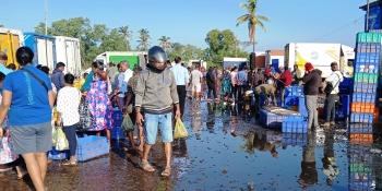 Fishy business: SGPDA’s sopo tender still in limbo