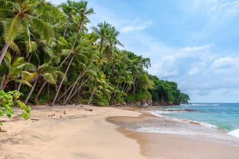 Tourism minister assures action on infra and image