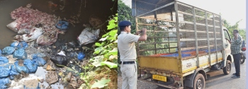 Vehicle with meat waste seized amid disposal concerns