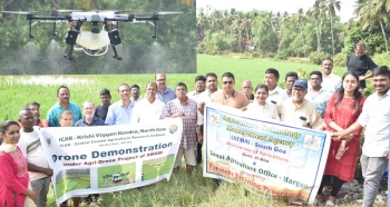 Nuvem farmers use drones to spray fertilizer on crops
