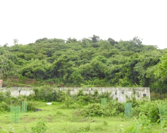 Burial grounds: Alternate access available, but only 2,500 of 30,191 sqm developable