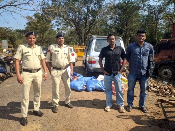 300 kgs of beef from K’taka seized at Mollem, 1 arrested