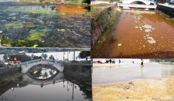 Colva beach toilet block under scanner again for sewage discharge in creek