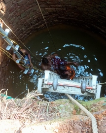 Elderly woman rescued from well in Pissurlem