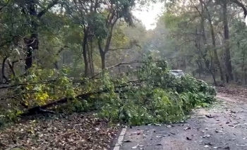Heavy unseasonal rains lash Netravali