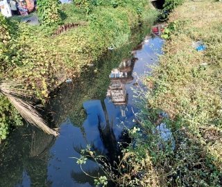 Salpem Lake pollution: Pipe dreams? HC demands real action on sewage crisis