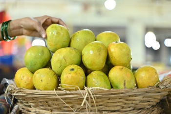 Mankurad hits markets at Rs 500 a piece!