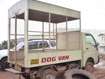 Margao’s dog control prog stalls due to funding issues