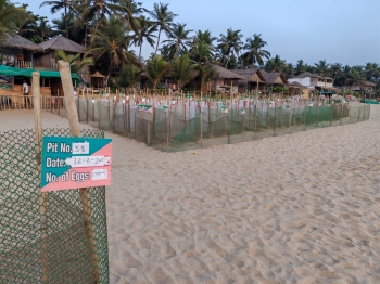 Anxiety, confusion as HC orders closure of 67 businesses on Agonda beach