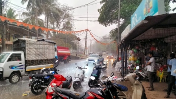 Trees uprooted, outages as rains lash Sattari