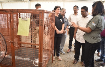 ABC prog to target 500 stray dogs along Salcete coast