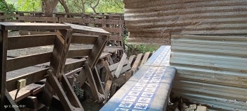 Once a ‘Smart City’ symbol, Panaji’s mangrove boardwalk now in ruins