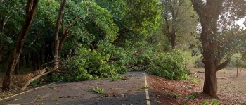 Remote wards in Netravali affected by rain & winds