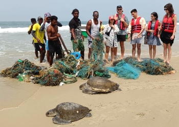 Turtles saved from ghost nets during dolphin trip