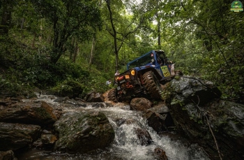 RFC India adds new categories