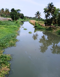 High Court directs mapping of sewerage coverage in Margao, sets May 8 deadline