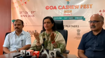 GFDC to rejuvenate 1,780 Ha of cashew plantations amid low productivity concerns